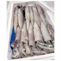 辻希美『イカ』