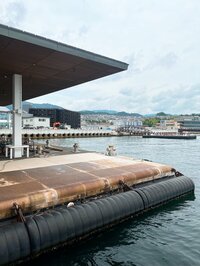 堀ちえみ『宮島へ渡りました』