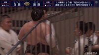 視聴者「どこまで行くね～ん」 白鵬、遠藤を押し出し勢い余って花道をスタスタ… 「強すぎる」の声も