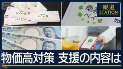 “定数削減”成立見送り…18.3兆円の補正予算成立　物価高対応“具体策”どうなる