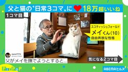 「どちらの表情も完璧」猫パンチに怯える瞬間が話題の父親「メイくんはハードパンチャー」