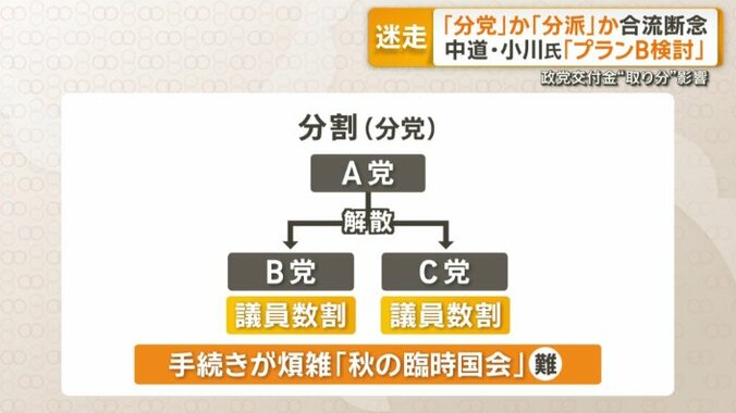 分党の場合