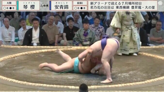 珍手で大関を撃破した安青錦