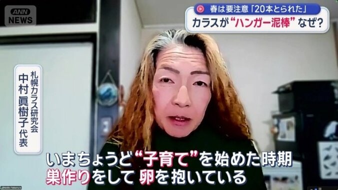 札幌カラス研究会　中村眞樹子代表