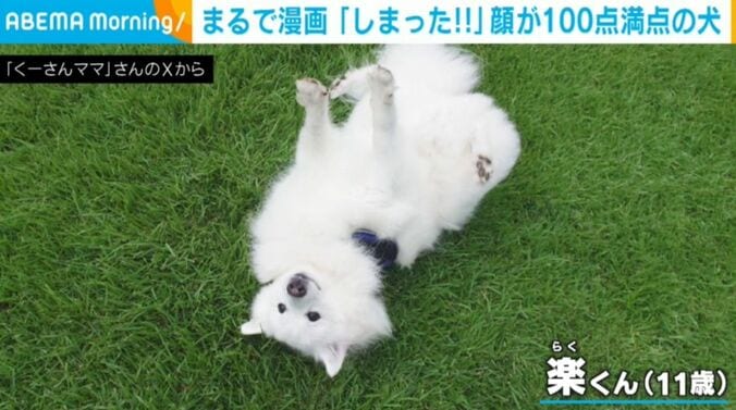楽くん