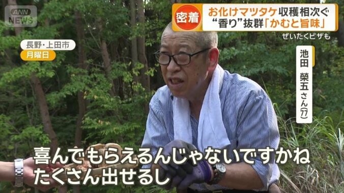 収穫のピークは、あと1週間ほどだという