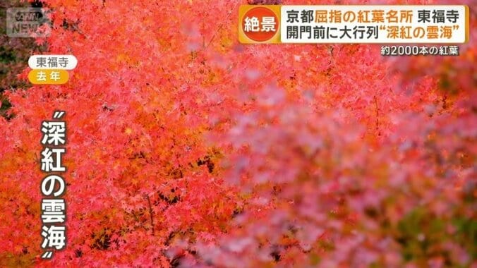 “深紅の雲海”