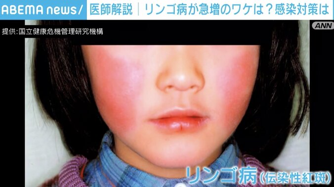 【写真・画像】安住委員長「終わってください」「厳重に注意します！」“進行無視”で立ち上がったれいわ議員「呆れたようなその顔がテレビに映ってますからね」…消費税めぐり国会大荒れ　1枚目