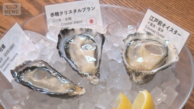 バスケット養殖カキに期待　環境変化に対応できる可能性　栄養が身に集中でおいしく 1枚目