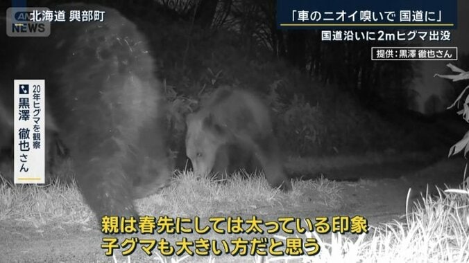 20年ヒグマを観察　黒澤徹也さん