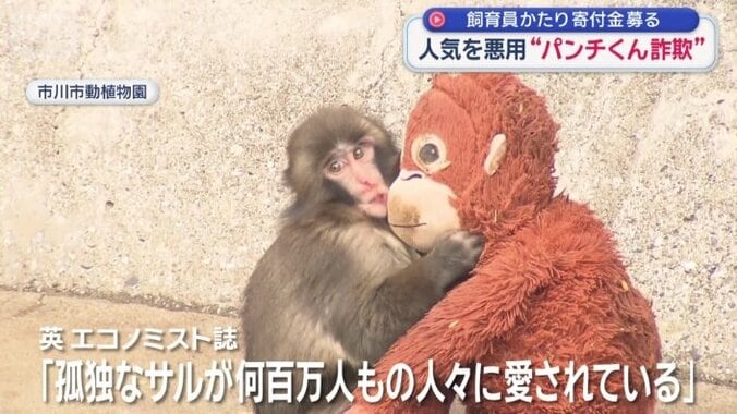 ぬいぐるみと一緒にいる姿が世界的に話題に