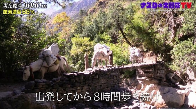 ナスD取材班の1人が過酷旅でフラフラに…「無理してもどうかなと思う」またも離脱者が出てしまうのか？ 2枚目