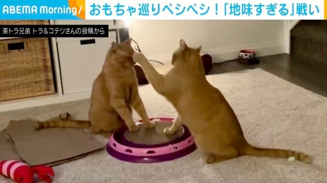 トラくんとコテツくん