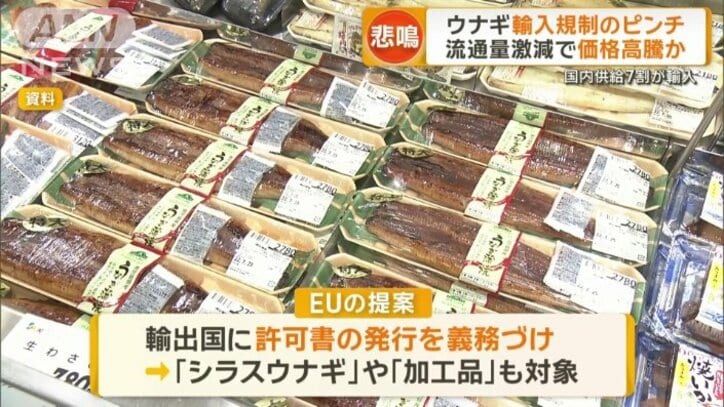 加工品を含むすべてのウナギが対象