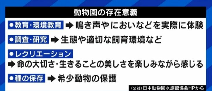 動物園で飼われるのは「かわいそう」? 札幌市で制定された“動物の福祉”条例から考える