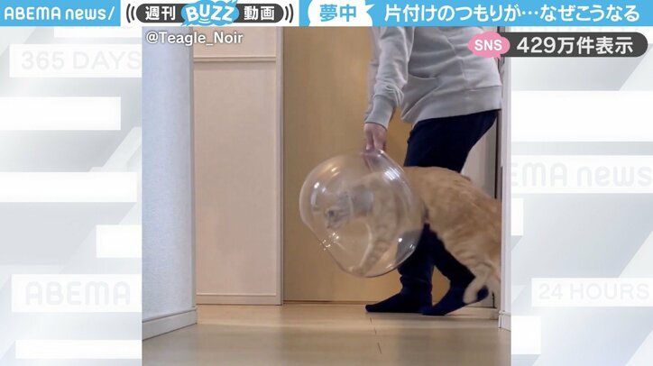 【写真・画像】　1枚目