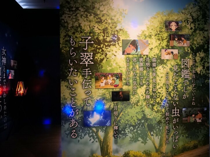 【写真・画像】東京のパノラマビューと幻想的な舞の共演!TVアニメ『薬屋のひとりごと』×東京シティビューレポート 8枚目