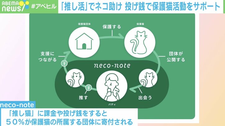 “推し活”で猫を救え!保護猫活動支援サービスに込めた思い「殺処分が減っていく連鎖反応が生まれたら」
