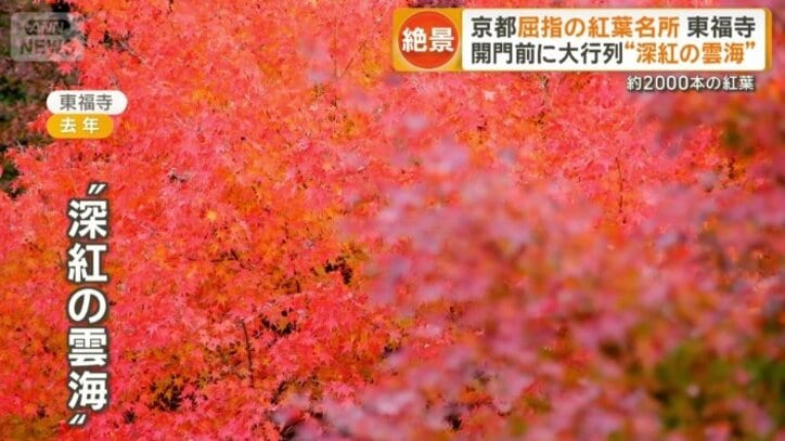 “深紅の雲海”