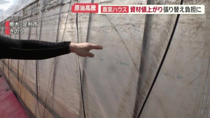 石油由来のフィルムが使われている農業用ハウス