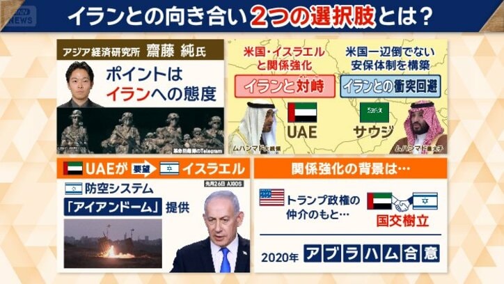 湾岸諸国の安全保障政策　2つの選択肢とは
