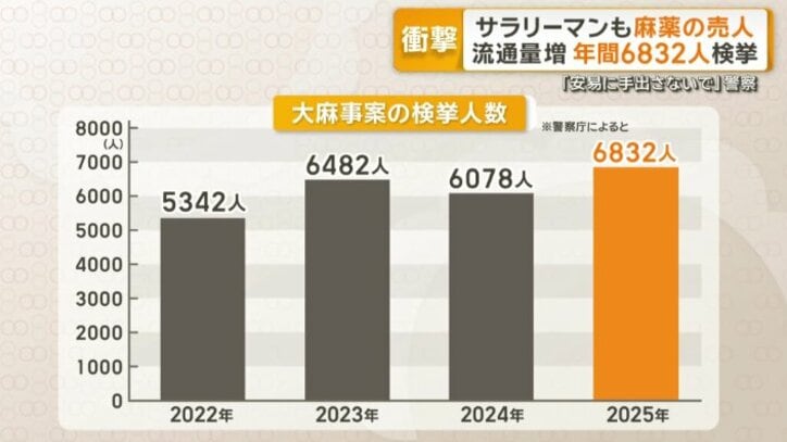 大麻事案の検挙人数