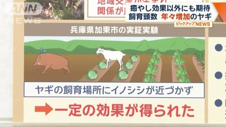 兵庫県加東市の実証実験