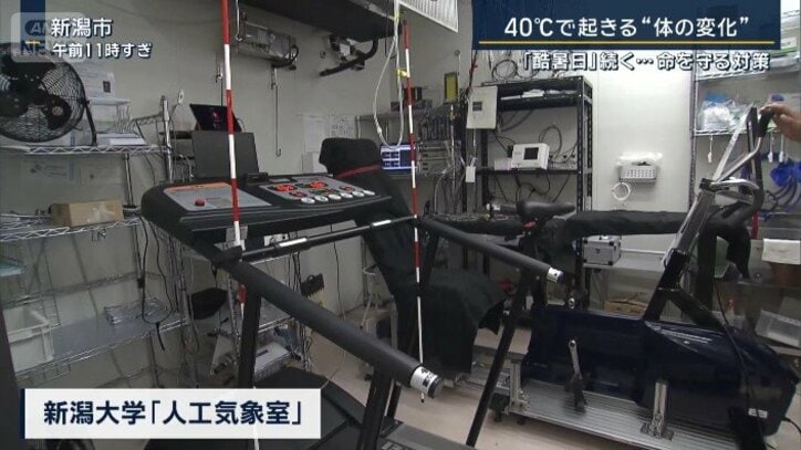 人工気象室