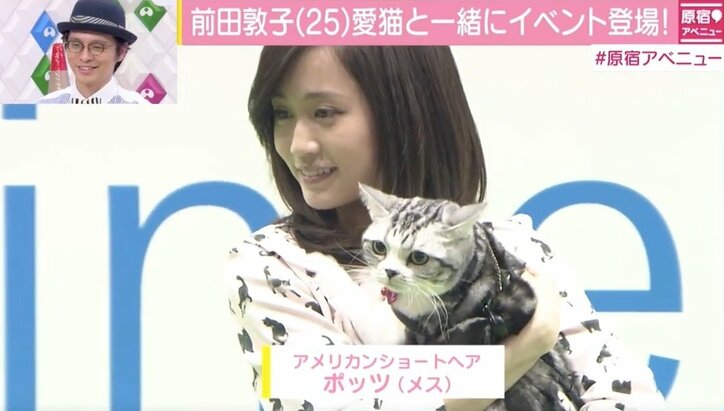 前田敦子、愛猫とイベントに登場 「指原を猫好きにしたのは…」エピソード告白