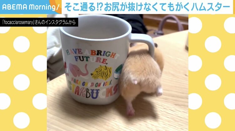 写真・画像】マグカップの取っ手からお尻が抜けない！悶絶必至の