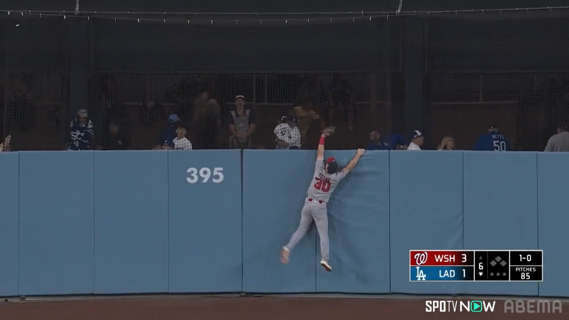 【写真・画像】　1枚目