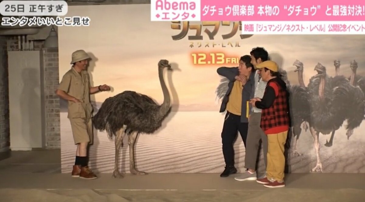 ダチョウ寺門 誕生日に野放しのダチョウと対面 ベテラン芸人も 初めてだぞ こういうの 芸能 Abema Times