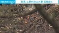 群馬・上野村の山火事 鎮火せず明日も消火活動継続