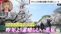 “幹事役を進んでやる人ほど出社していく”伝説が 花見もカイゼン、トヨタ自動車は「雑事も全力でやる会社」