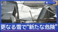 さらなる雪が“新たな危険”　投票日は東京積雪か