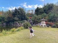 本田朋子『記念写真』