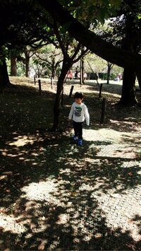 市川海老蔵『まおからのライン』