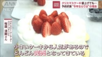 【映像】クリスマスケーキ値上げでも…予約好調 “今年ならでは”の理由