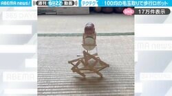 100円ショップの“あるもの”と身近な素材で作った『不思議なロボット』が歩く様子に「馬の調教にこんなのがあった笑」など反響
