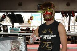 立ち技格闘技界“最も制御不能な男”　覆面格闘家・左右田泰臣「Krush史上、空前絶後の夏になります」