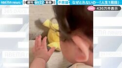 ピカチュウをゲットしたいよ…“生後9カ月の男の子”が、苦戦しながらも頑張って取ろうとする姿に「かわいすぎて悶える！」