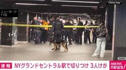 NYグランドセントラル駅で切りつけ 3人けが