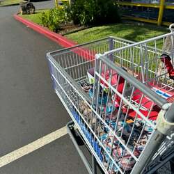 料理研究家、“安くて最高”だったハワイの『コストコ』「あれだけ商品安かったら羨ましい!!」 