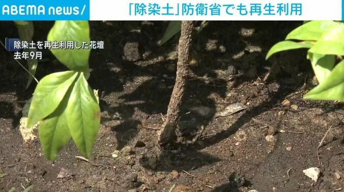 「除染土」を再生利用した花壇