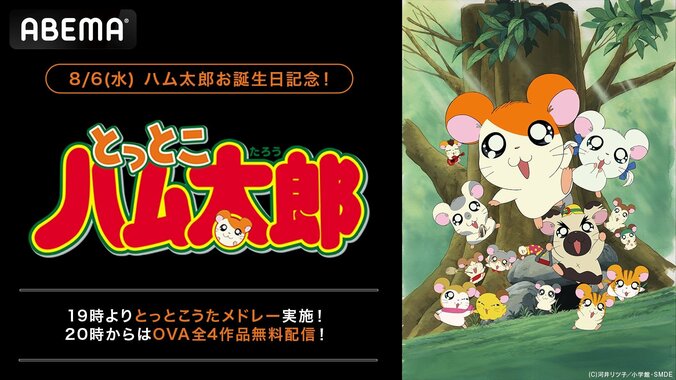 【写真・画像】『とっとこハム太郎』誕生日8月6日に“歴代OP・EDの1時間耐久メドレー”＆OVA4作を一挙無料放送！　1枚目