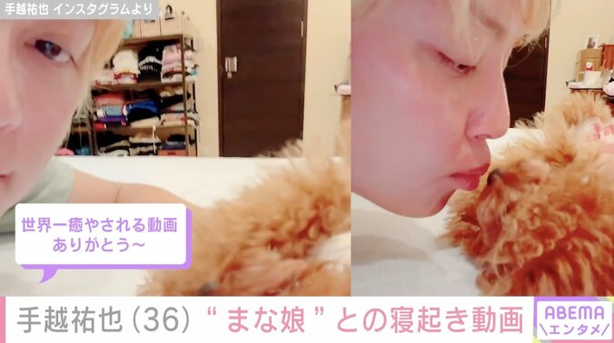 【写真・画像】元NEWS手越祐也、自宅ベッドで愛犬と寝起きイチャイチャ「超うらやましい」「世界一癒やされる」とファン歓喜　1枚目