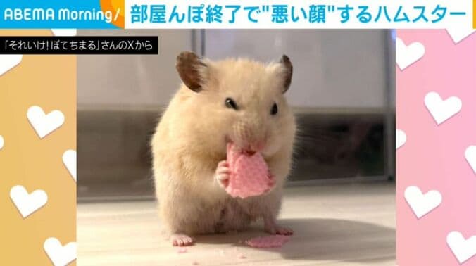 ぽてちまるくん