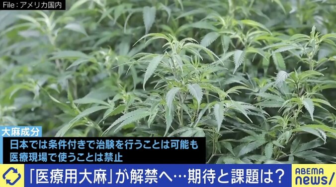 「脳の切除手術直前だった」生後3カ月で点頭てんかん発症…法律は時代遅れ？ 医療用大麻解禁に期待の声 1枚目