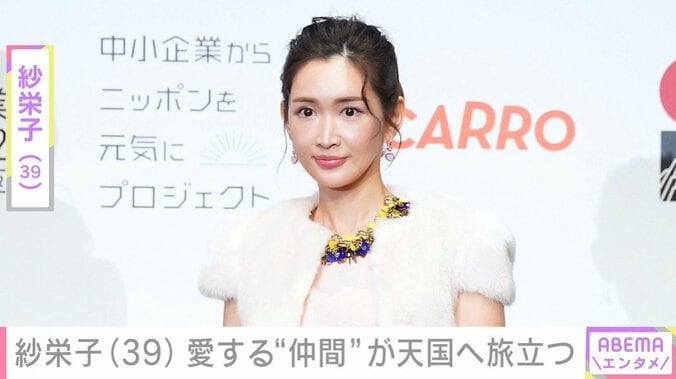 紗栄子