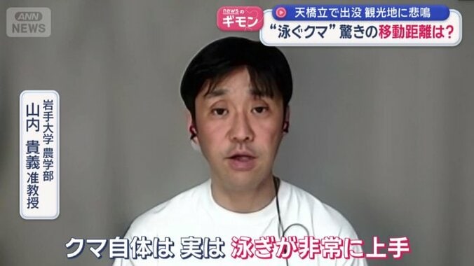 岩手大学　農学部　山内貴義准教授